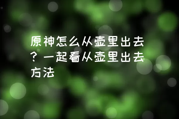 原神怎么从壶里出去？一起看从壶里出去方法