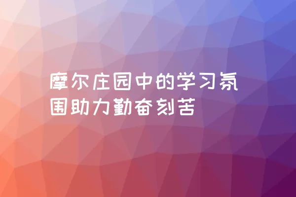 摩尔庄园中的学习氛围助力勤奋刻苦