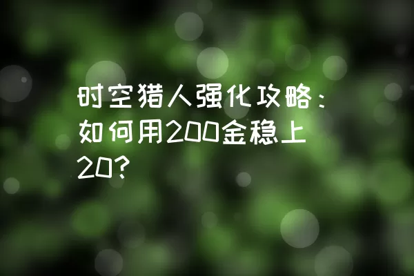 时空猎人强化攻略：如何用200金稳上20？