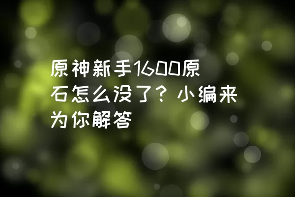 原神新手1600原石怎么没了？小编来为你解答