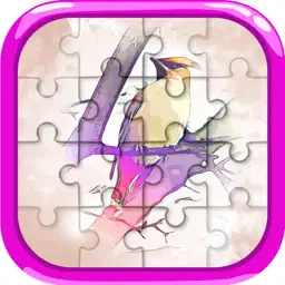 Birds animals jigsaw 超酷 成年人小游戏